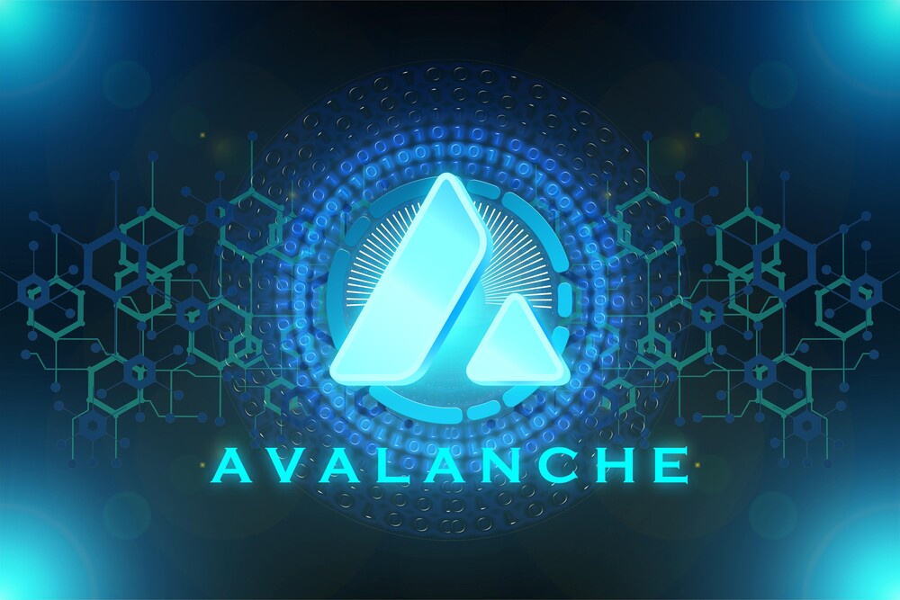 A Guide To Creating a Subnet on Avalanche