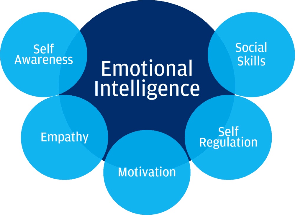 Emotional Intelligence in Practice Enhancing Relationships and Well-being
