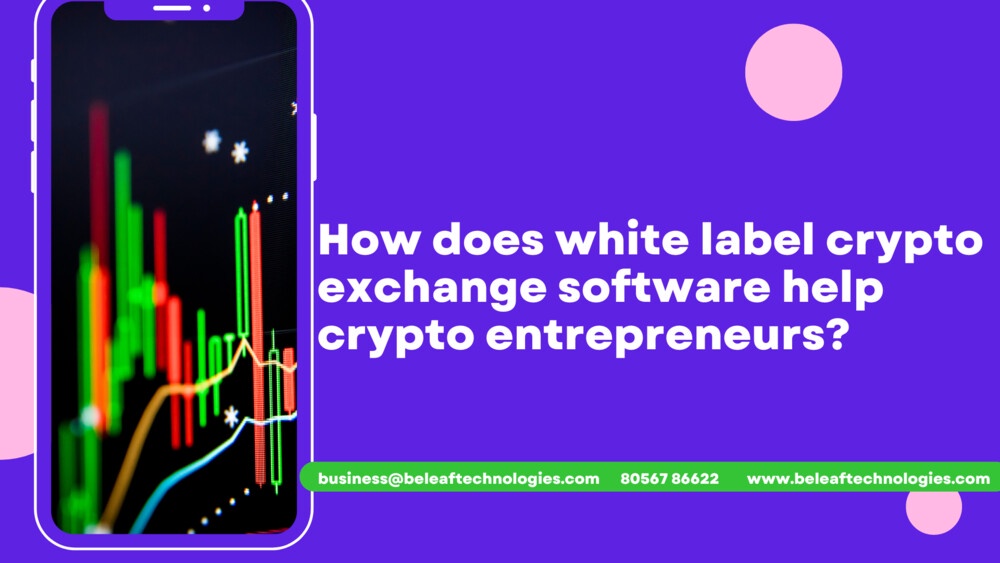 How does white label crypto exchange software help crypto entrepreneurs?