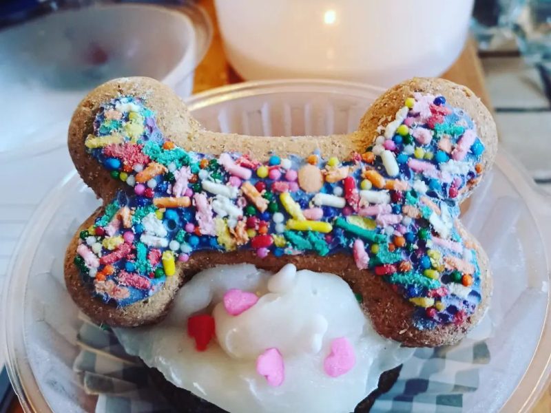 Melmos Dog Treats Innovates with Dog Biscuits & Doggie Cakes in Pennsylvania