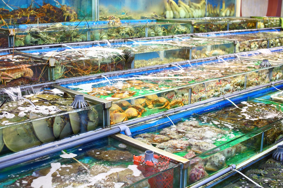 Which country has the highest consumption of fresh seafood in Asia?