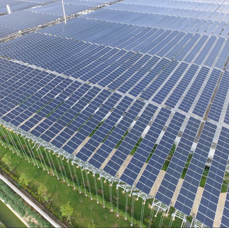 Driving Efficiency with Jiangsu Dongruan Intelligent Technology Co., Ltd