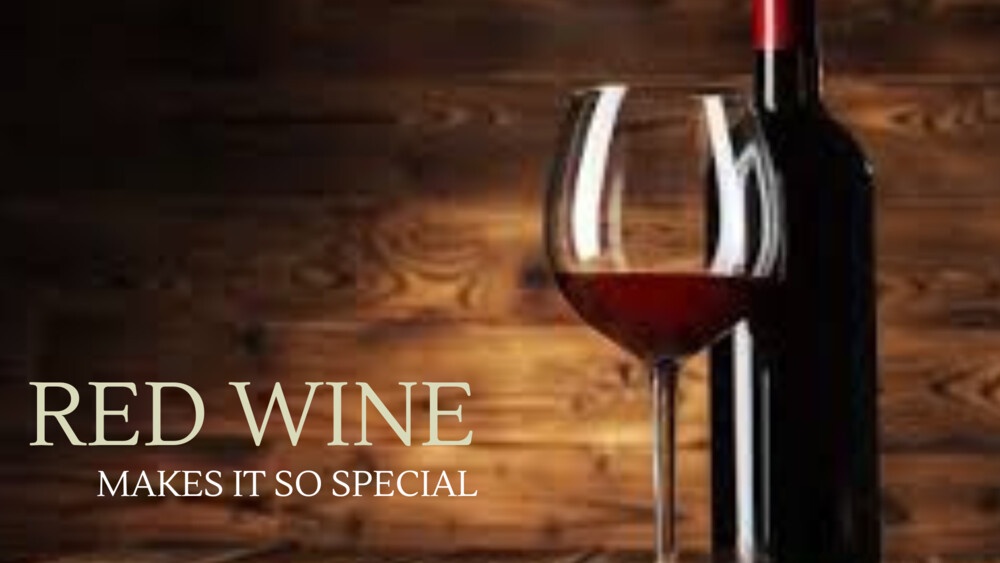 Types of Red Wine Every Wine Enthusiast Must Know About