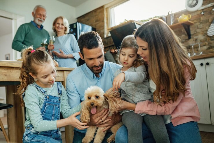The Impact of the Home Study on the Adoption Timeline