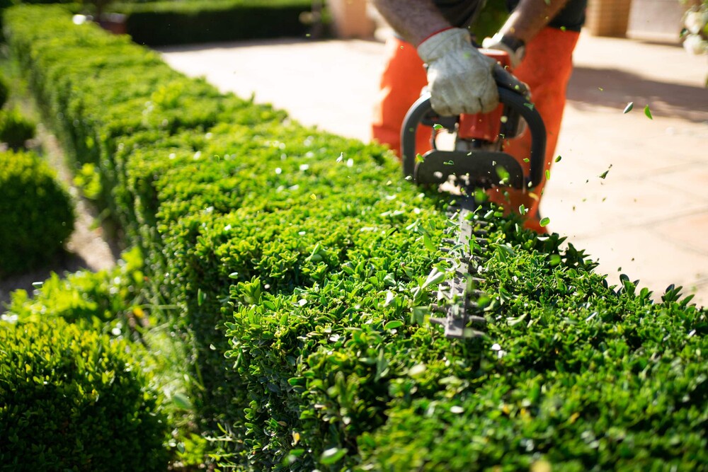 15 Benefits of Hiring a Professional Landscaping Company in Saudi Arabia