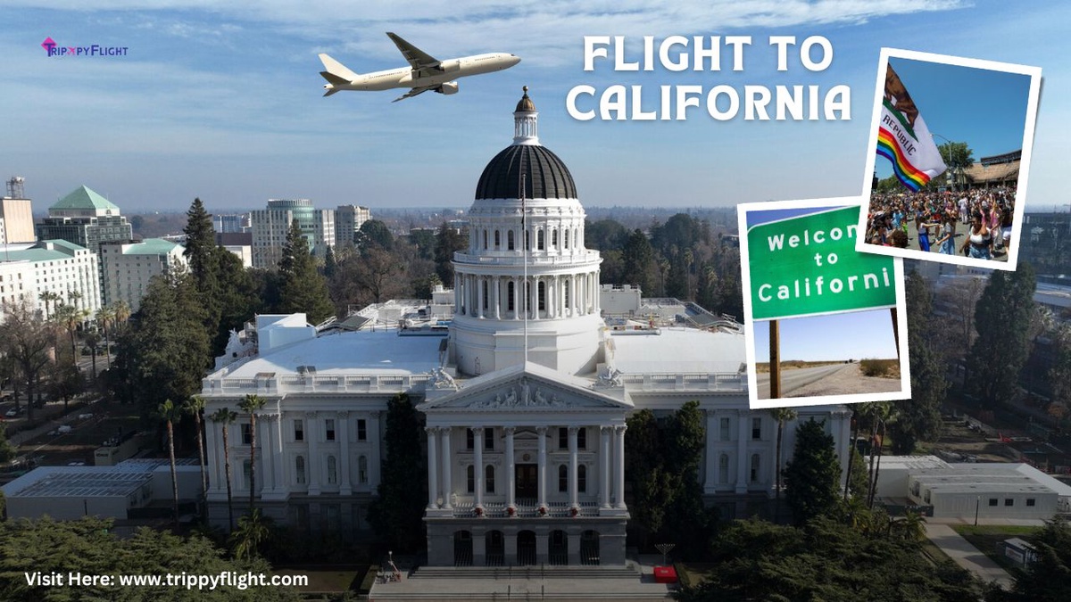 How to Score a Great Deal on a Flight to California