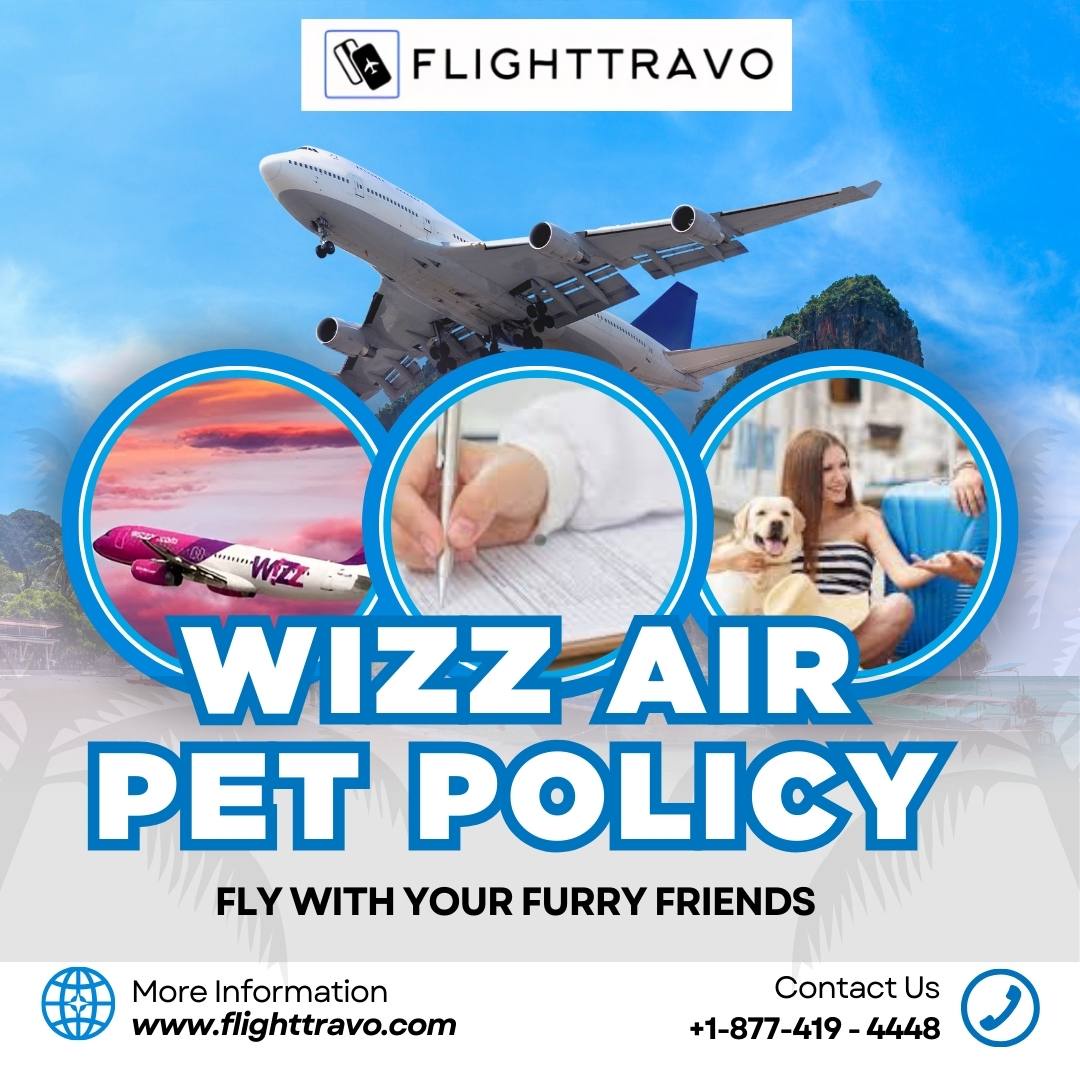 Wizz Air Pet Policy: A Comprehensive Guide for Traveling with Your Pet