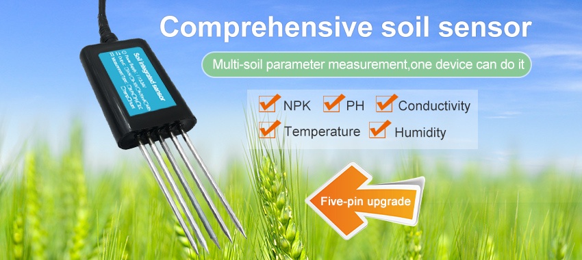 Soil Sensors: The Key to Sustainable Agriculture