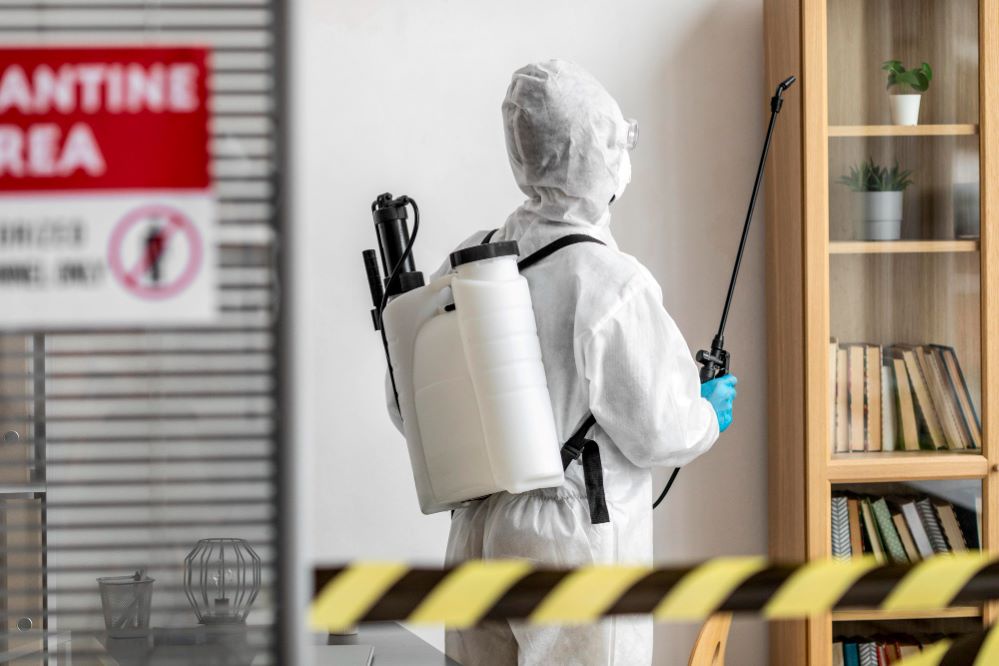 Top 5 Signs You Need Termite Control Services Immediately