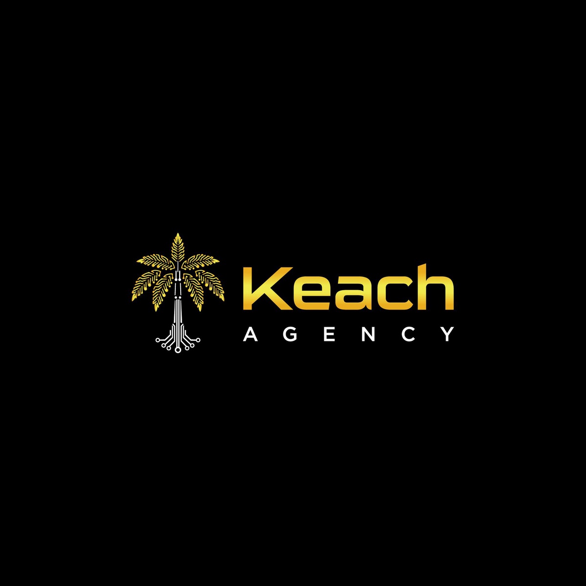 Your Data-Driven Full Service Digital Marketing Agency