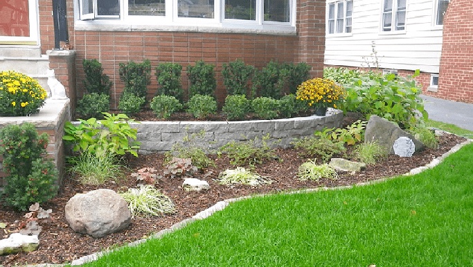 7 Benefits of Softscape Landscaping in Saudi Arabia