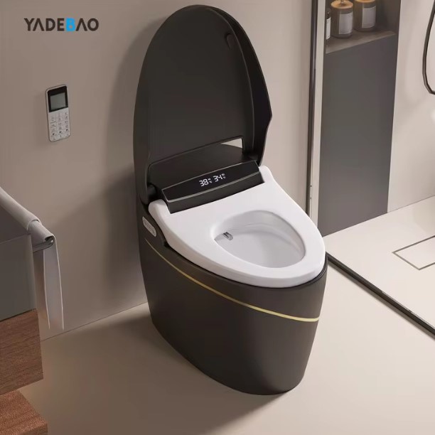 Upgrade to a Smart Toilet with Chaozhou Duxin