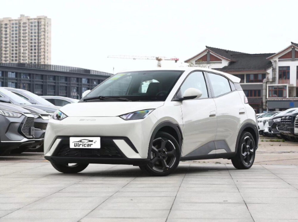 Leading the Charge: Chinese Cars in the Era of New Energy