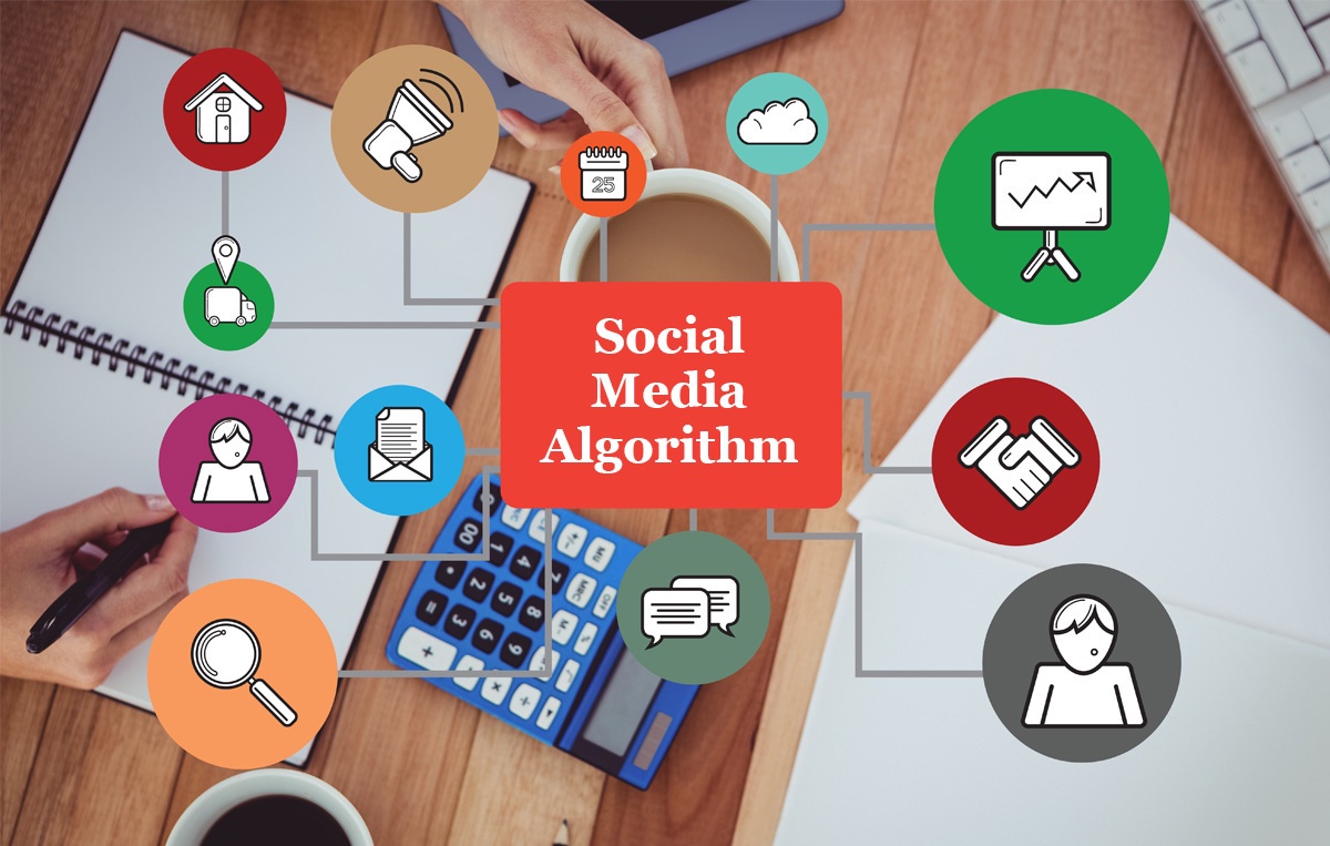 Beyond The Algorithms: How Human Guidance Elevates Your Web Browsing Experience