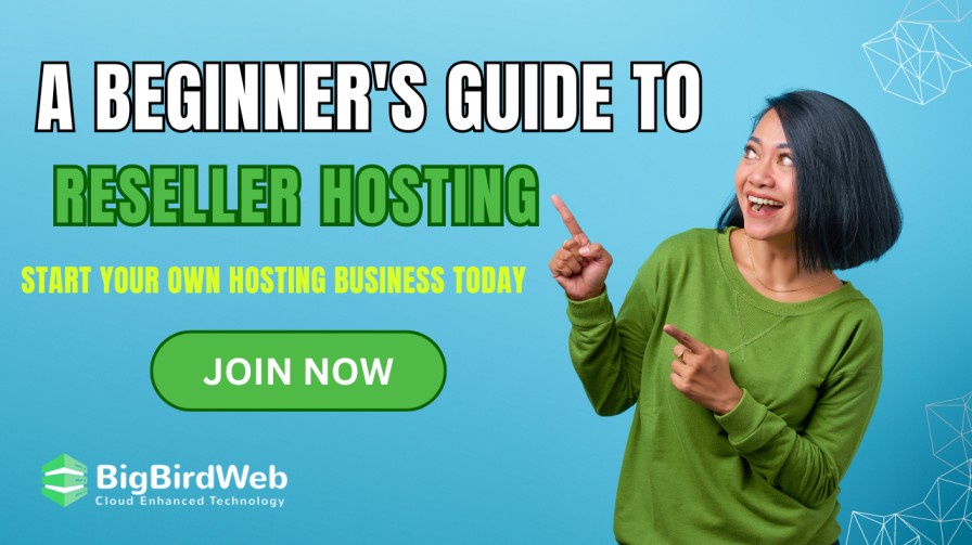 A Beginner’s Guide to Reseller Hosting: Start Your Own Hosting Business Today
