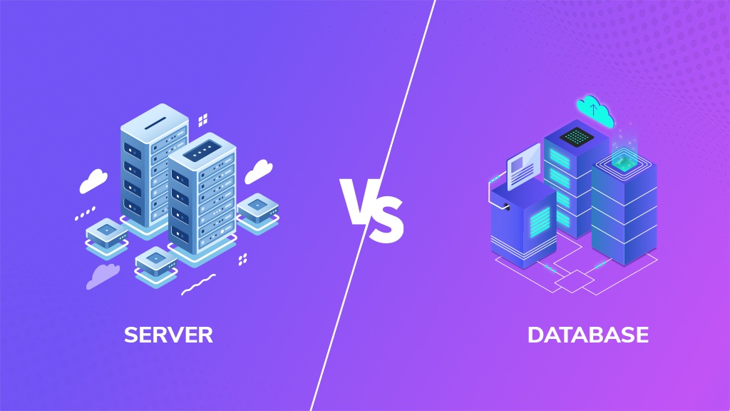Difference between Server and Database: Your Beginners Guide