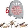 RIP Pest Management