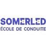 ecoleso merled
