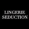 Lingerie Seduction