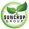 SunCrop Gruop