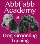 Abbfabb Academy Of Dog Grooming Training