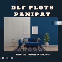 DLF Plots Panipat