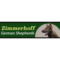 Zimmerhoff germanshepherds