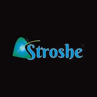 Stroshe Capital Inc.