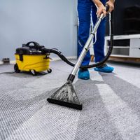 carpet cleaning burlington