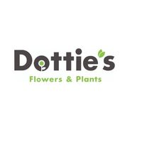 Dottie's Flower and plants