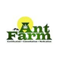 Ant Farm Collection Club