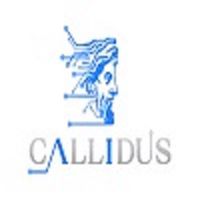Callidus AI