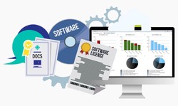 What are the different types of cheap software licenses?
