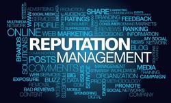 5 Best Strategies For An Online Reputation Management Consultants