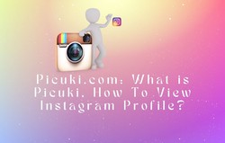Picuki: How to view the publications of an Instagram account without having an account