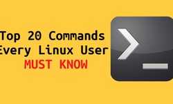 Top 20 Commands Every Linux User MUST KNOW