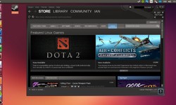 Valve released Proton 5.0, a package to run Windows games on Linux