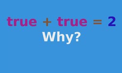 Why TRUE + TRUE = 2: Data Types