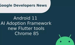 New privacy and security features in Android 11, AI Adoption Framework, new Flutter tools, & more!