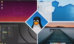 Best Linux distro in 2020