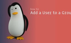 How to create user and add user to group in Linux