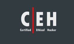 Top Certifications in Ethical Hacking