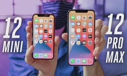 iPhone 12 mini vs 12 vs 12 Pro Max size comparison