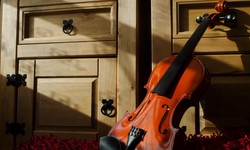 How to make your home safe for private violin lessons