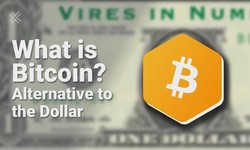 What is Bitcoin? An Alternative to the Dollar