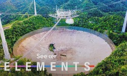 What We Lost When the Arecibo Observatory Collapsed
