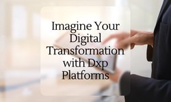Imagine Your Digital Transformation with Dxp Platforms