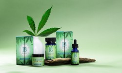 How to make the best hemp oil boxes for a booming business