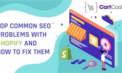 Most Common Shopify SEO Problems & Tips To Solve Them - Cartcoders