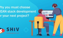 Why Should You Choose MEAN Stack for Your Next Web Development Project?